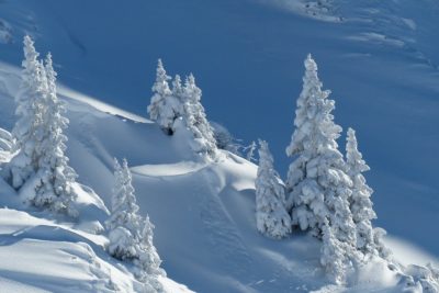 Winter Solstice Email Marketing Ideas